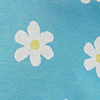 Color: Spring Daisy